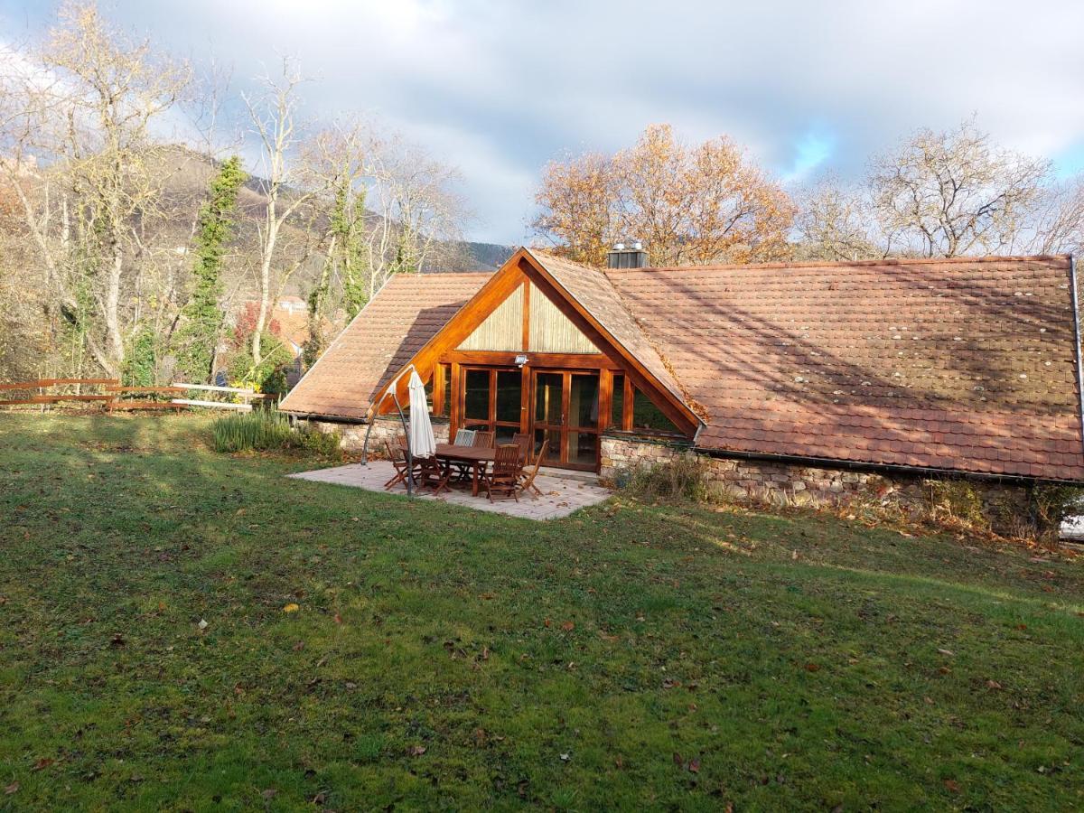 La Canopee Alsacienne - Magnifique Maison A Ribeauville Exterior photo